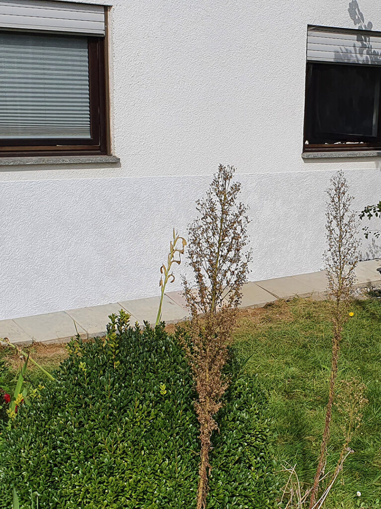 kewabo® gmbh gottmadingen referenzen